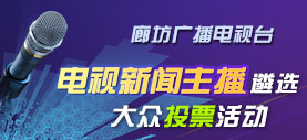 電視新聞主播遴選－大眾投票活動(dòng)