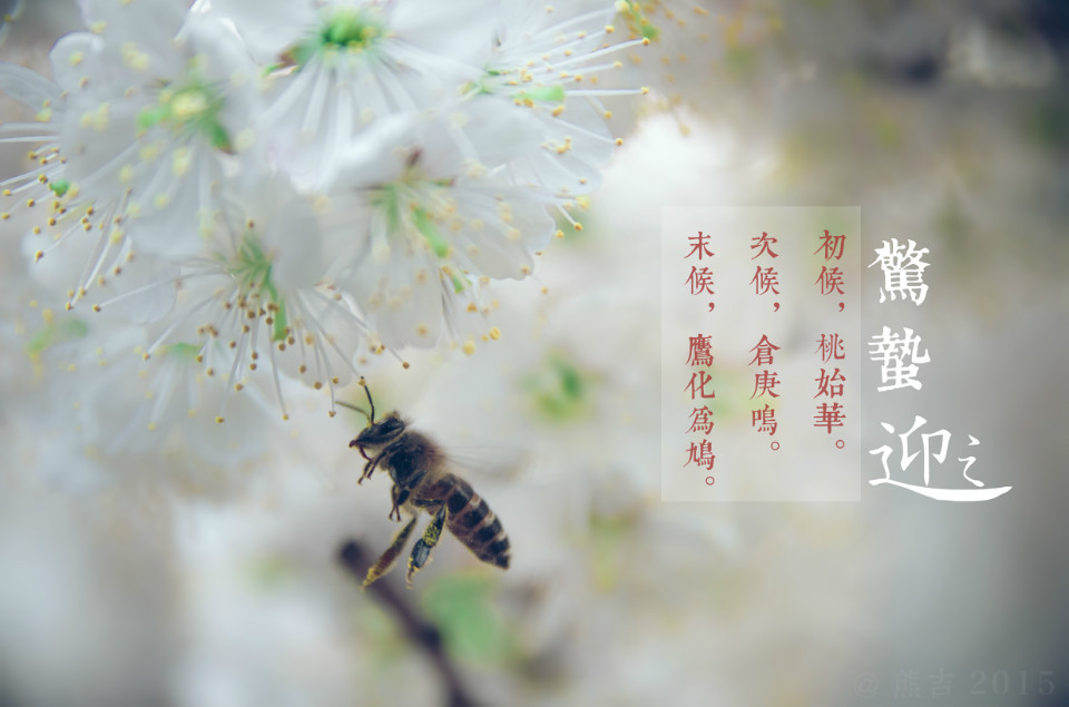 驚蟄吃這5種蔬菜，養(yǎng)生排毒效果佳