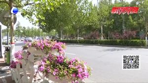 路邊景觀花慘遭“辣手摧花” 望市民莫向鮮花“伸手”