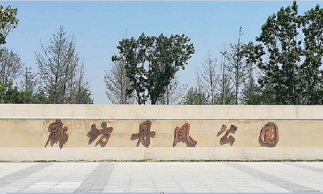 丹鳳公園建成開園 23公頃植被打造城市新綠肺