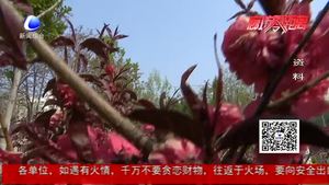 創(chuàng)城讓城市更文明 文明讓生活更美好