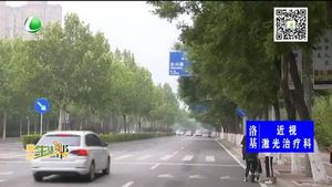 樹木茂盛遮擋路牌 園林積極剪出清晰視線