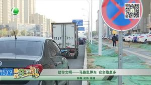 助你文明——馬路亂停車 安全隱患多