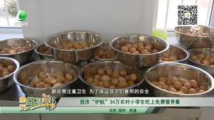 我市“護航”34萬農村小學生吃上免費營養(yǎng)餐