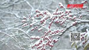 我市“喜提”今冬初雪小視屏