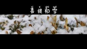 喜提初雪