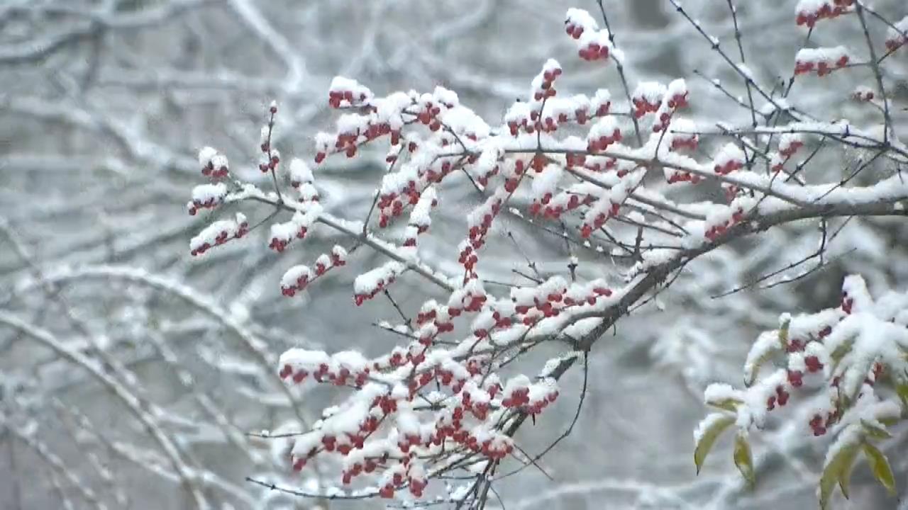 雪