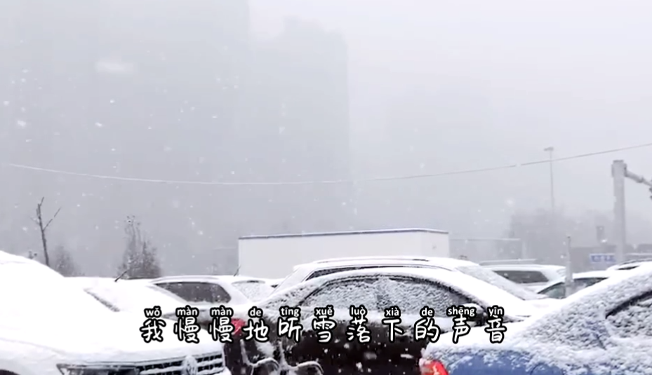 我慢慢聽雪落下的聲音