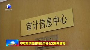 市審計局堅持疫情防控與審計工作兩手抓 兩不誤