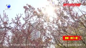 小區(qū)鮮花盛放 文明賞花護(hù)美景