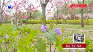 “廊坊：京津走廊上的一座花園城市” 我市打造多處景觀建筑 園林建設受市民點贊