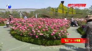 丹鳳公園“月季展園”驚艷絕倫 市民愜意享芳華