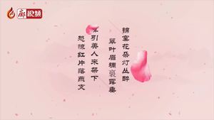 廊視頻 | 薔薇說