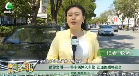 助你文明——將車輛停入車位 還道路暢通安全