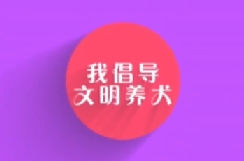 小六倡導(dǎo)文明養(yǎng)犬