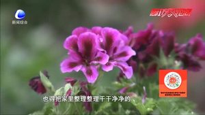 創(chuàng)建“精品庭院”締造美好生活