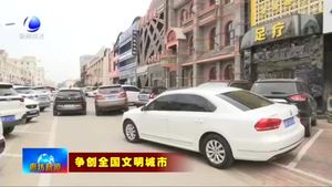 市區(qū)部分路段公共停車位緊缺待規(guī)劃