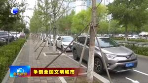 我市繼續(xù)增劃停車位 緩解市民停車難問題