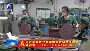 盛森磨具有限公司：化危為機 助推企業(yè)逆勢上揚