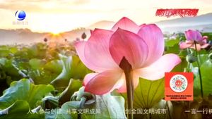 今日大暑：養(yǎng)生注意：清與“靜”