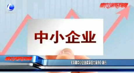 《保障中小企業(yè)款項支付條例》施行