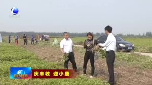 同慶豐收 共迎小康 廊坊大地處處豐收景