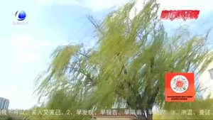 雨后的廊坊 真美！