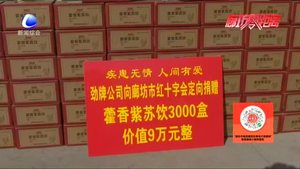 愛(ài)心企業(yè)捐款9萬(wàn)元物資 為我市抗疫工作者加油