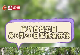 廊視頻丨廊坊自然公園恢復(fù)開放啦