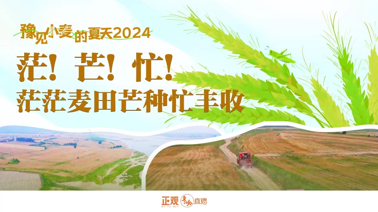 豫見小麥的夏天2024 | 茫！芒！忙！茫茫麥田芒種忙豐收！